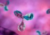 NIH establishes a unified clinical trial network for testing COVID-19 vaccines