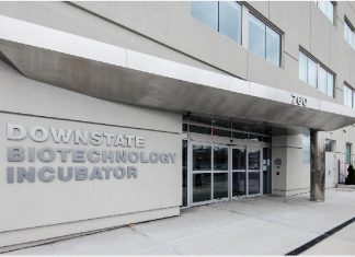 Patent issued for Concarlo-developed therapeutic peptide to treat drug-resistant breast cancer