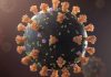 Studying COVID-19’s envelope protein