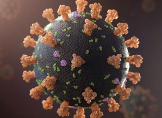Studying COVID-19’s envelope protein