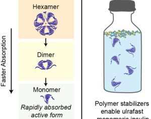 Ultrafast, Stable Insulin Developed Thanks to Some “Magic Fairy Dust” Polymer Tech