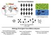 Gut Viromes Are Highly Individualized, Yet Reveal Shared Patterns