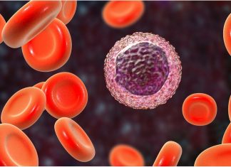 Heat Biologics SARS-CoV-2 vaccine generates potent T cell response in pre-clinical trial