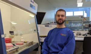 Malaria Treatment May Be Found by Targeting the Host