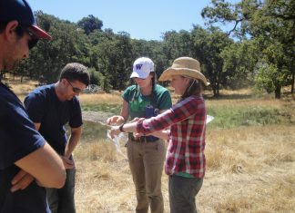 New studies show how to save parasites and why it’s important