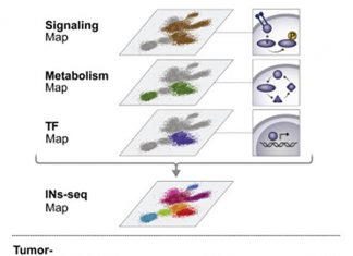 New Technology Helps Identify Innate Immune Cell Subset that “Collaborates” with Cancer
