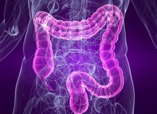 Researchers investigate the survivability of E. coli bacteria based on fast or slow growth