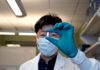 Synthetic Coating Developed That Could Deliver Drugs to the GI Tract