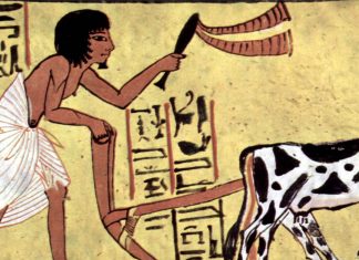Biotechnology timeline: Humans have manipulated genes since the ‘dawn of civilization’ – Genetic Literacy Project