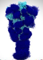 Closer Look at SARS-CoV-2 Protein Glycans Points to New Therapeutic and Vaccine Strategies