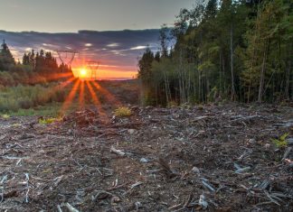 More than 90% of protected areas are disconnected