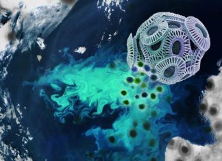 Ocean algae get ‘coup de grace’ from viruses