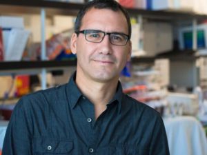 Researchers Keep Cancer Cells Out by Blocking the Gate to the Nucleus