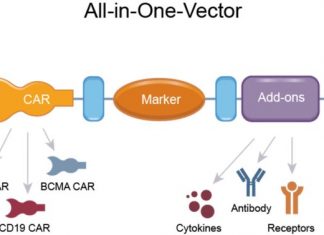 ShRNA and Single Genetic Modification May Lower CAR-T Manufacturing Costs