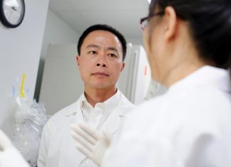 Stem cells can repair Parkinson’s-damaged circuits in mouse brains