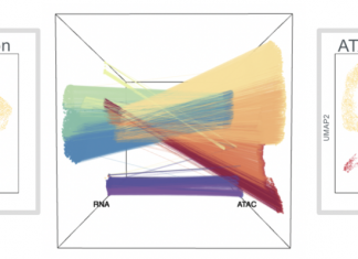 Two Seqs Are Better Than One: Gathering Epigenomic and Transcriptomic Data from a Single Cell