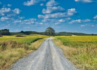 UTIA to lead regional effort to battle farmer, rancher stress