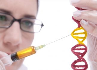 Congress should clarify limits of gene-editing technologies, says law professor