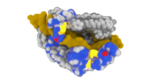 CRISPR-Based ALS Treatment Being Developed by Scribe and Biogen