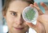 Cyanobacteria as Green Catalysts in Biotechnology – Laboratory Equipment