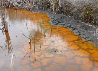 Droughts are threatening global wetlands: new study