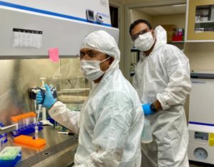 Gene Therapy and Light-Sensing Protein Restores Vision in Mice