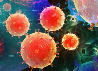 In-depth analysis of coronavirus genome sequence in Norfolk identifies hidden outbreaks