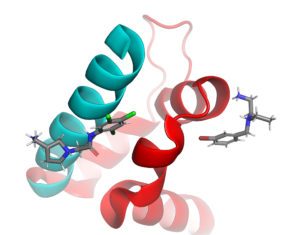 Neuronal NMDAR-TRPM4 “Death Complex” Disabled by Interface Inhibitors