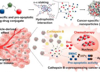 Novel Anticancer Therapy Reportedly Overcomes Drug Resistance and Adverse Effects
