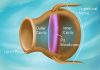 Thermal vision of snakes inspires soft pyroelectric materials