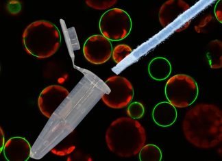 UQ tech could offer ‘faster, cheaper and mobile’ COVID-19 diagnosis