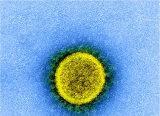 An analysis of genetic diversity of D614G mutation in SARS-CoV-2
