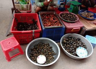 COVID-19 highlights risks of wildlife trade