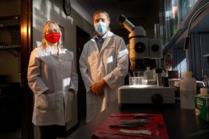 Herpes Virus Vaccine Shows Promise in Preclinical Study