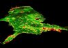 Measuring the true cost of conservation