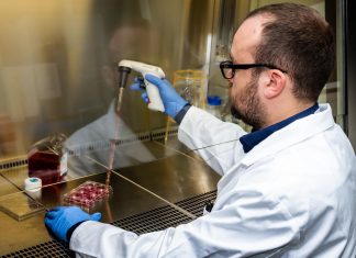 Perspectives of tumor treatment: Researchers investigate combination of carbon ion and immunotherapy