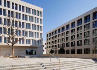 Researchers at Goethe University create artificial cell organelles for biotechnology – Mirage News