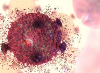 Researchers study the role of viral intramembrane interactions in controlling programmed cell death