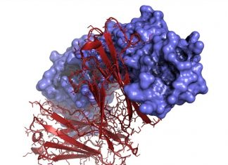 Unique training program is bolstering Canada’s capacity to manufacture novel biotherapeutics