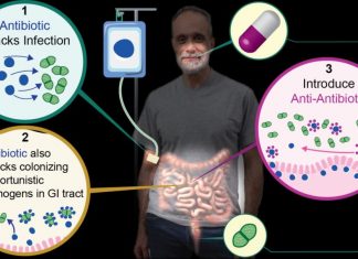 Antibiotic Resistance May Be Halted by Cholesterol-Lowering Drug