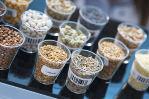 Nanotechnology for Plant Genetic Engineering