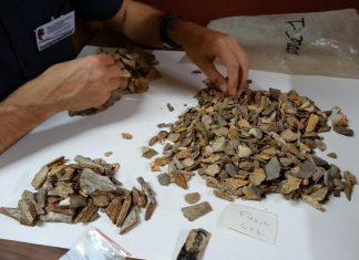New evidence: Neandertals buried their dead