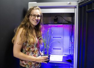Plants can be larks or night owls just like us