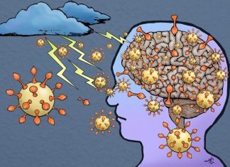 Research strongly suggests COVID-19 virus enters the brain