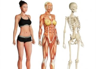 Researchers use precision medicine strategy to identify a new genetic skeletal disorder