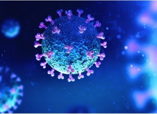 SARS-CoV-2 infection shown to reduce the expression of vitamin D pathway components
