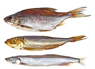 Study reveals rare spawning behavior of shallow-water fish