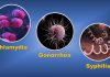 Study suggests reporting of sexually transmitted infections may be impacted by COVID-19