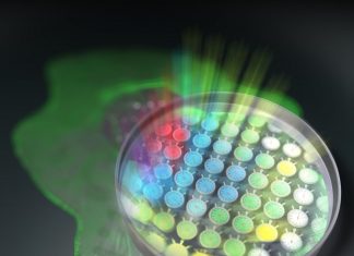 Comb of a lifetime: a new method for fluorescence microscopy