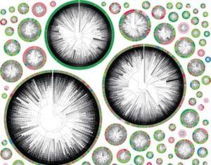 CRISPR-Based Cancer Cell Lineage Tracing Offers Insights into Drivers of Metastasis